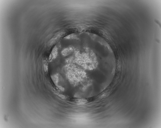 X0000102510719200808291734