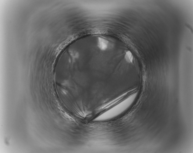X0000102510721200808291733