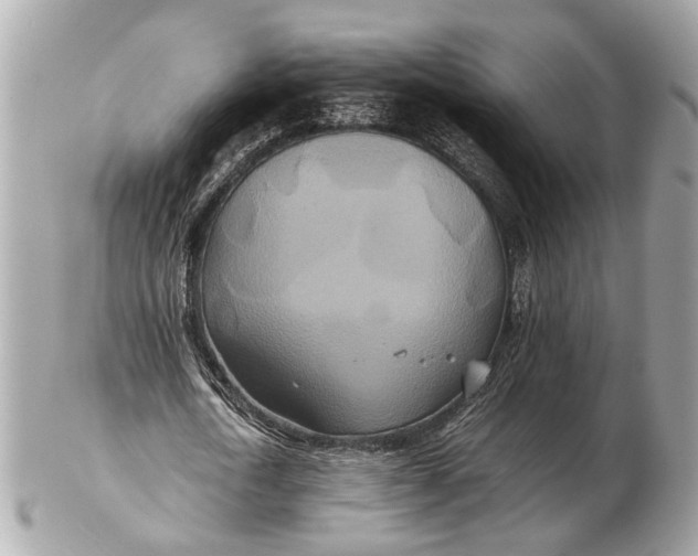 X0000102510722200808291733