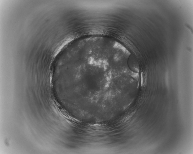 X0000102510723200808291733