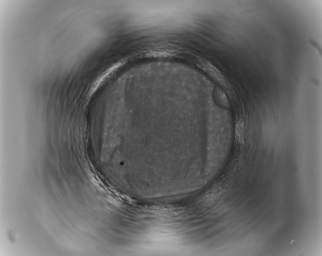 X0000102510724200808291733