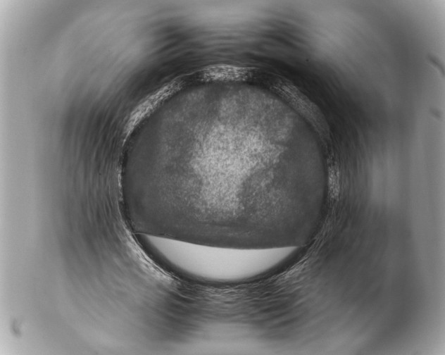 X0000102510725200808291733