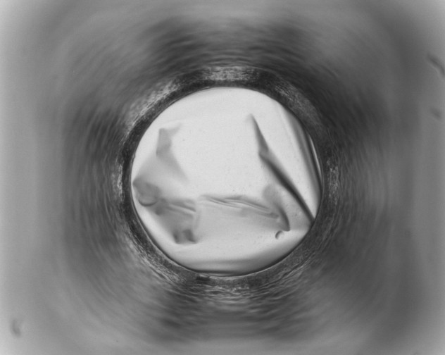 X0000102510727200808291733