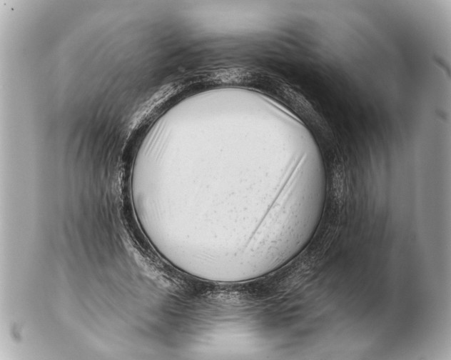 X0000102510730200808291733