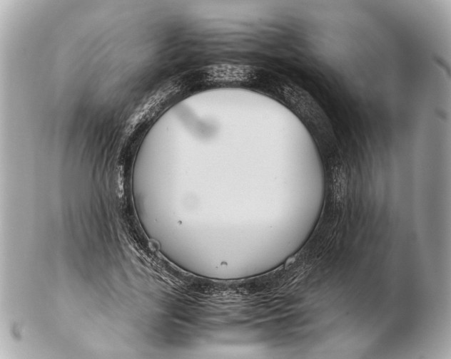 X0000102510731200808291733