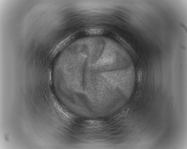 X0000102510733200808291733