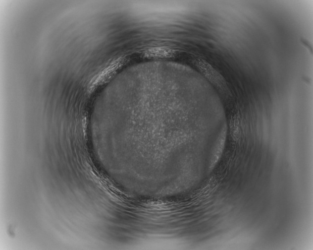X0000102510735200808291733