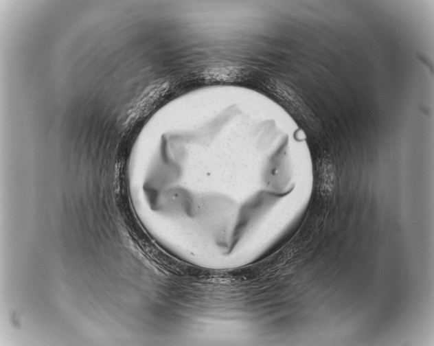 X0000102510738200808291733