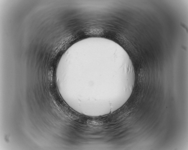 X0000102510739200808291733