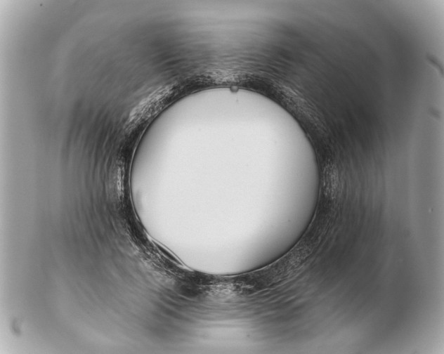 X0000102510740200808291733