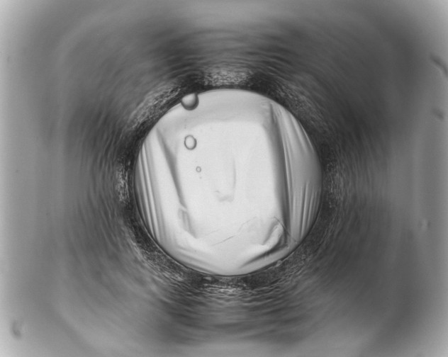 X0000102510743200808291733