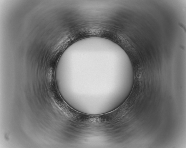 X0000102510744200808291734