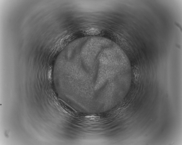 X0000102510745200808291734