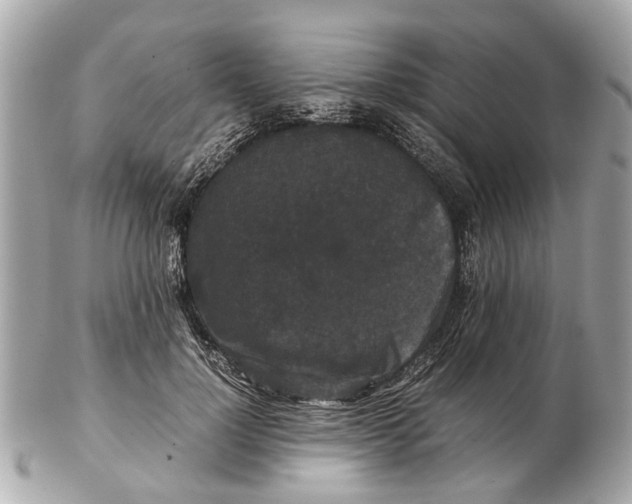 X0000102510748200808291734