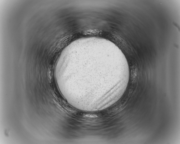 X0000102510749200808291734