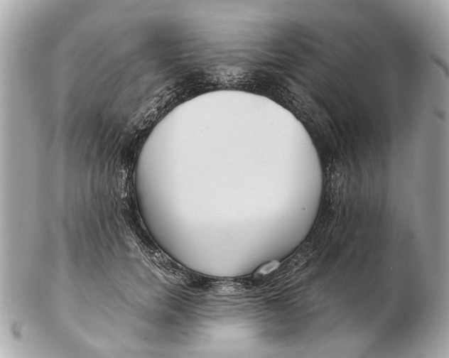 X0000102510750200808291734