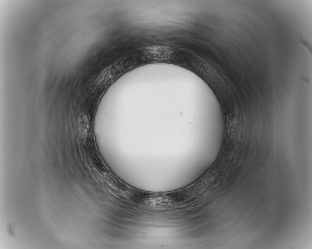X0000102510752200808291734