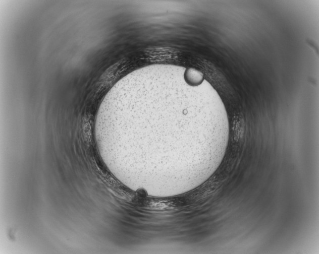 X0000102510753200808291734