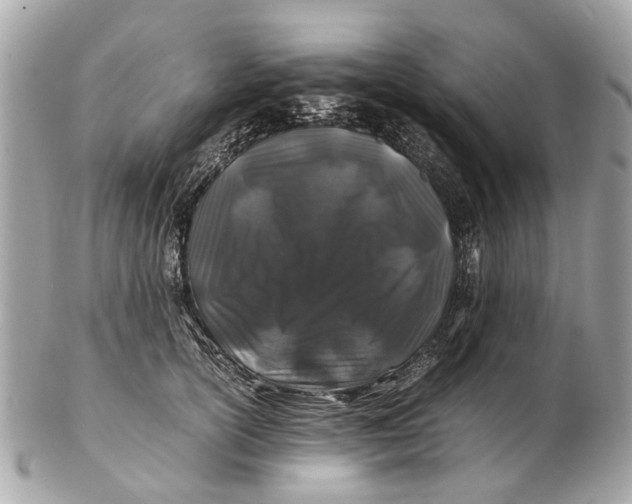 X0000102510754200808291734