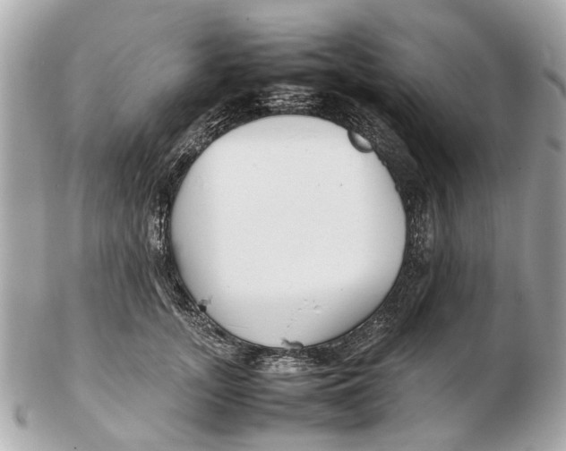 X0000102510755200808291734