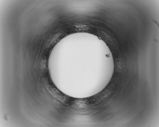 X0000102510756200808291734