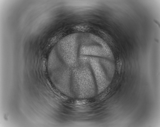 X0000102510757200808291734