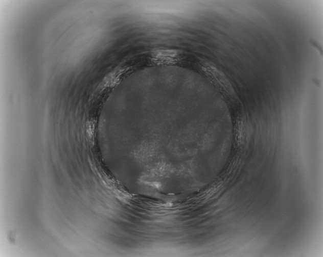 X0000102510759200808291734