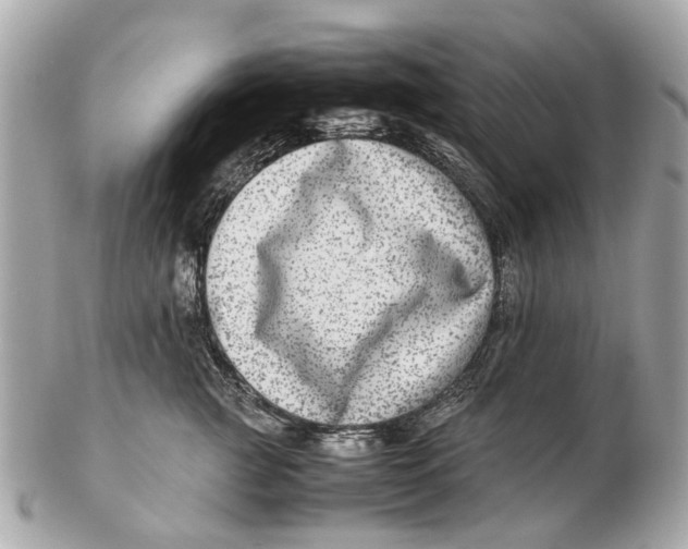 X0000102510761200808291734