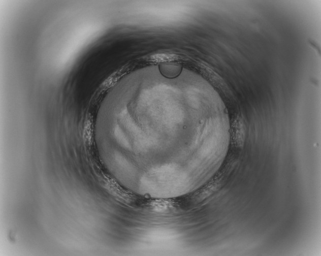 X0000102510762200808291734