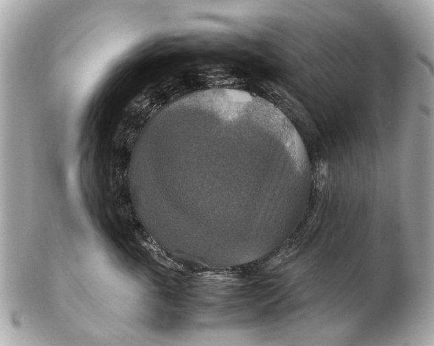 X0000102510763200808291734