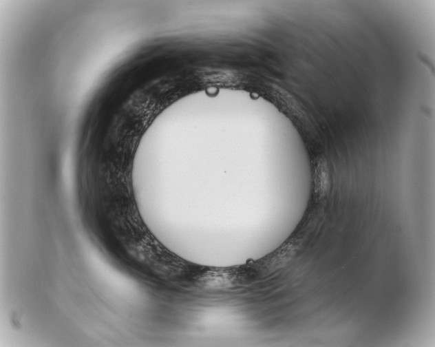 X0000102510764200808291734