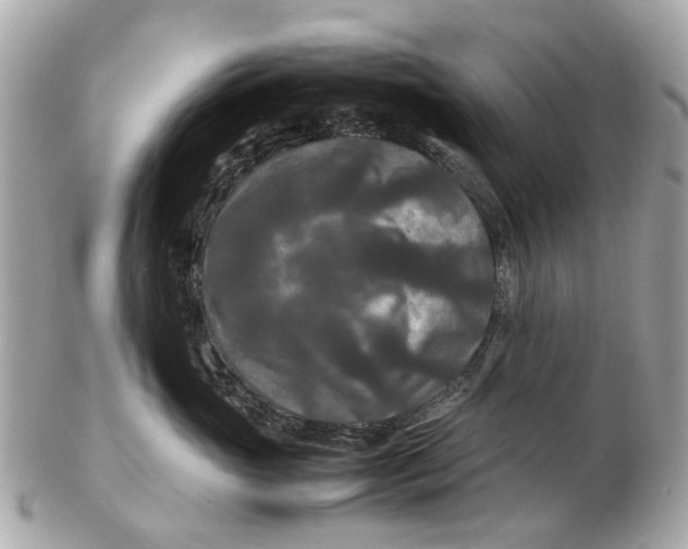 X0000102510765200808291734
