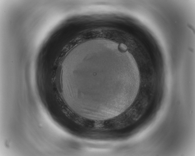 X0000102510766200808291734