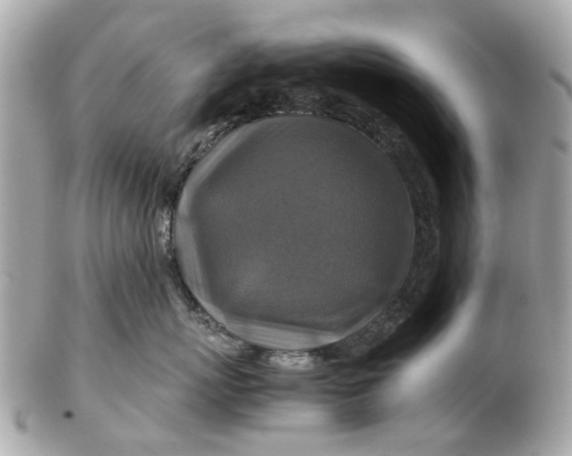 X0000102510767200808291734
