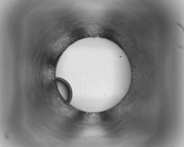 X0000102510768200808291734