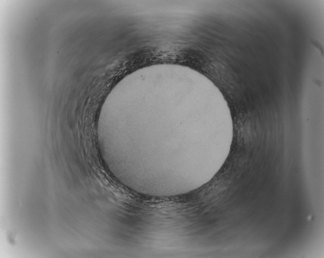 X0000102510769200808291733