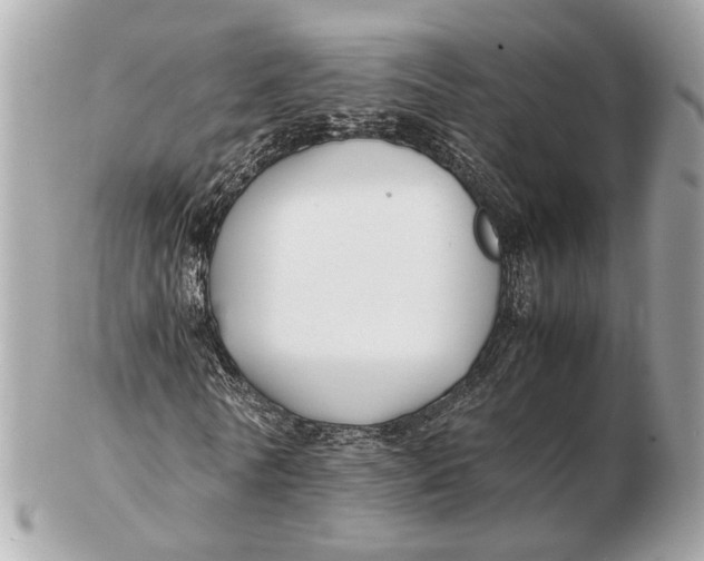 X0000102510770200808291733