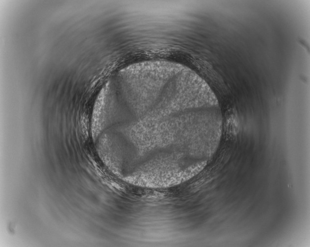 X0000102510772200808291733