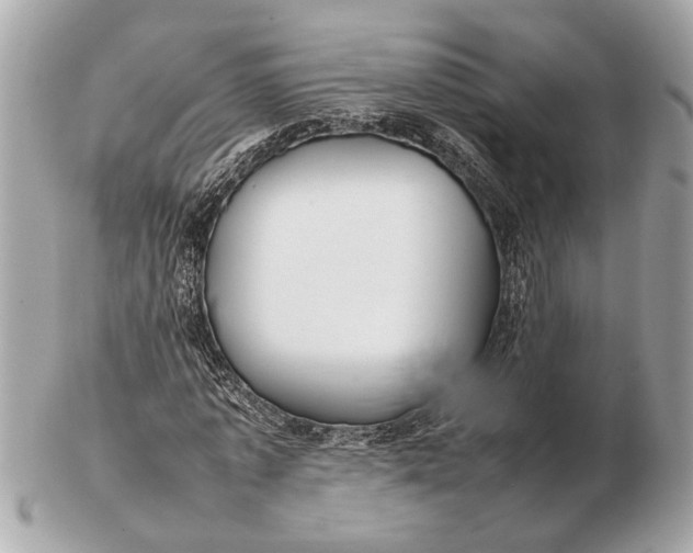 X0000102510773200808291733