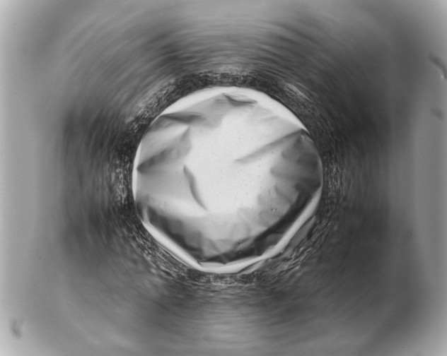 X0000102510774200808291733