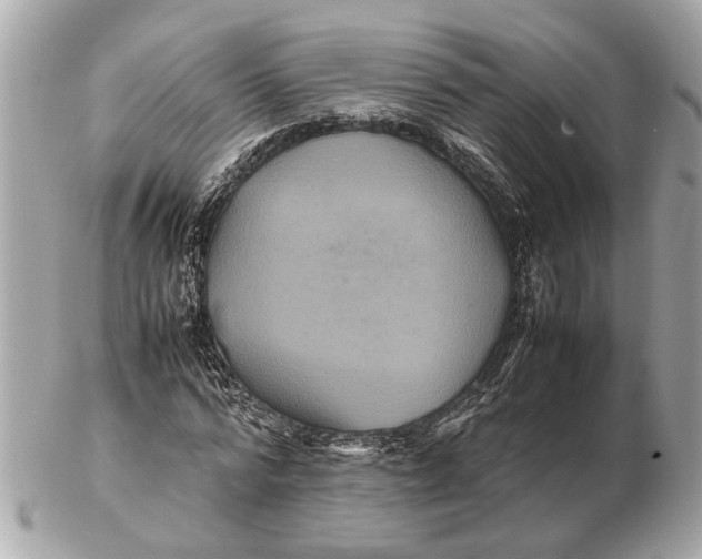X0000102510776200808291733