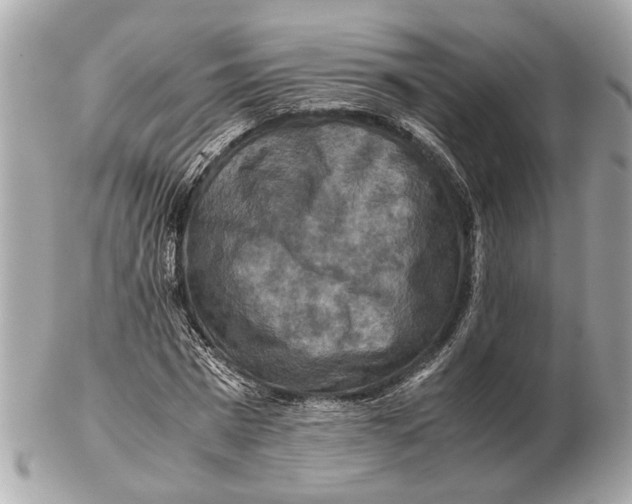X0000102510777200808291733