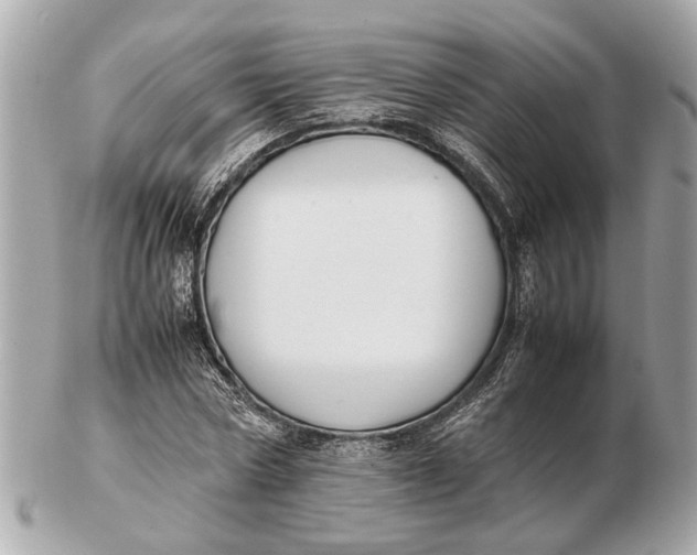 X0000102510778200808291733