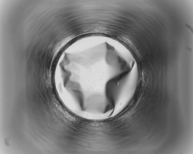 X0000102510780200808291733