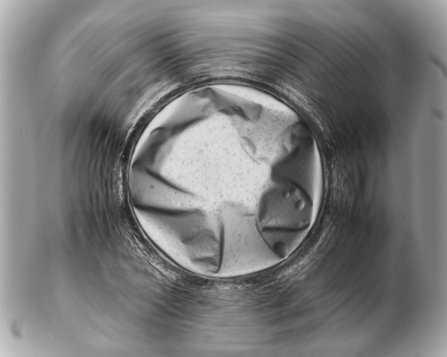 X0000102510782200808291733