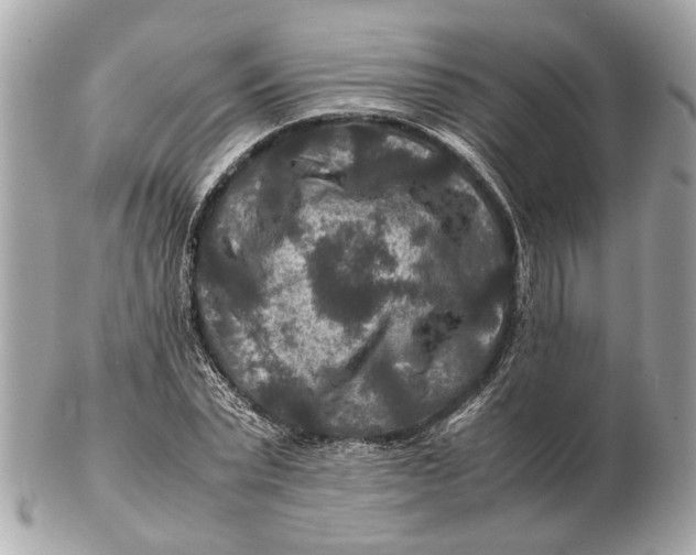 X0000102510783200808291733