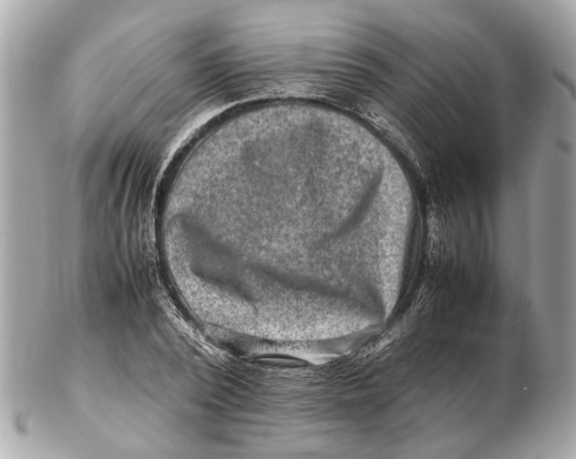 X0000102510784200808291733