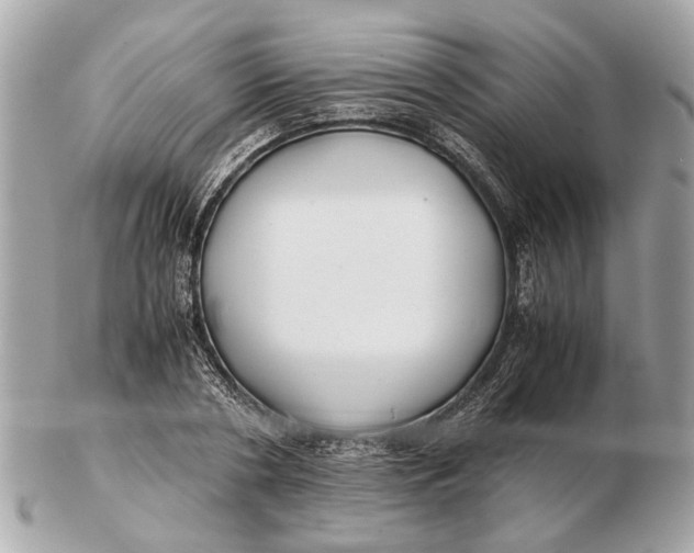 X0000102510786200808291733