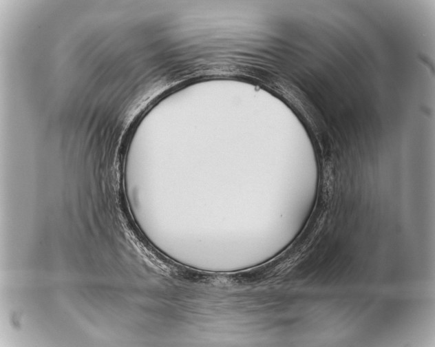 X0000102510787200808291733
