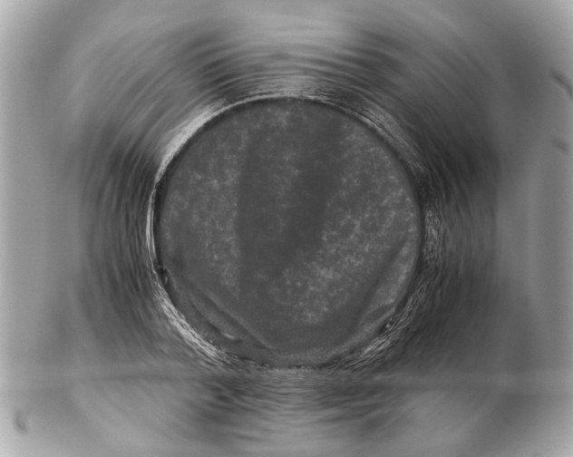 X0000102510788200808291733